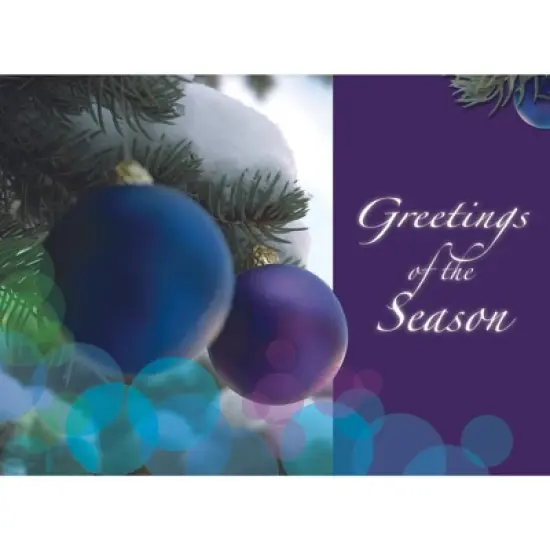 CEO Cards Holiday Greeting Card Box Set of 25 Cards & 26 Envelopes - H7043 image {1}