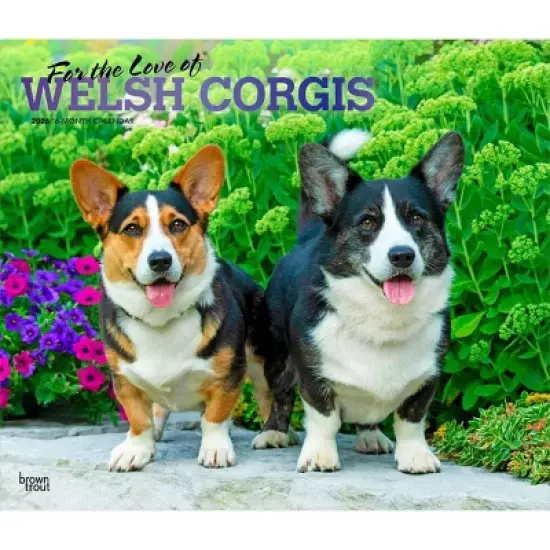 BrownTrout For the Love of Welsh Corgis 2026 14"x24" Hanging Deluxe Wall Calendar Plastic-Free image {9}