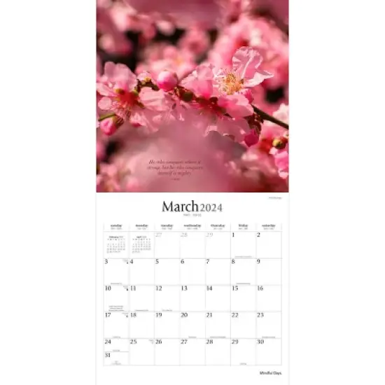 Brush Dance 2024 Wall Calendar 12"x12" Mindful Days image {2}