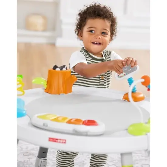 Skip Hop Explore & More Baby's View 3- Stage Activity Center image {7}