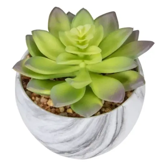 Northlight 4" Green and Purple Artificial Succulent in Faux Marble Pot image {4}