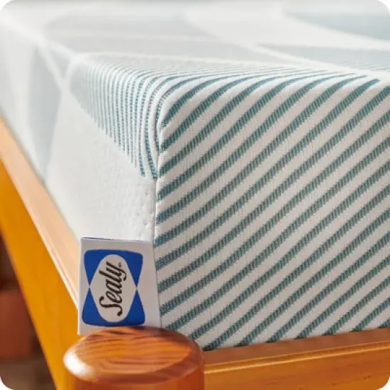 Sealy Dreamlife 6" Foam Mattress image {4}