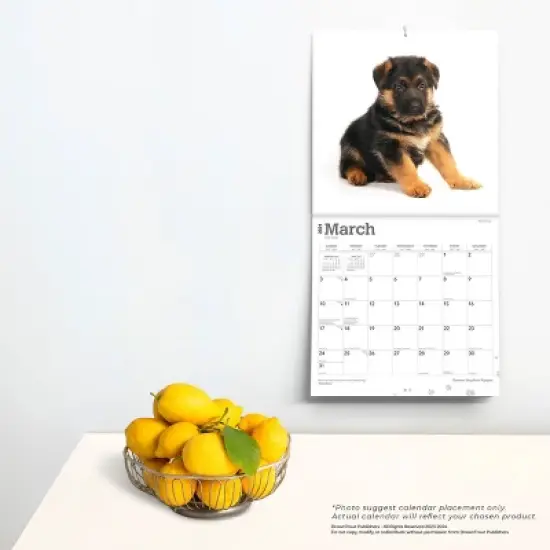 Browntrout 2024 Wall Calendar 12"x12" German Shepherd Puppies image {3}
