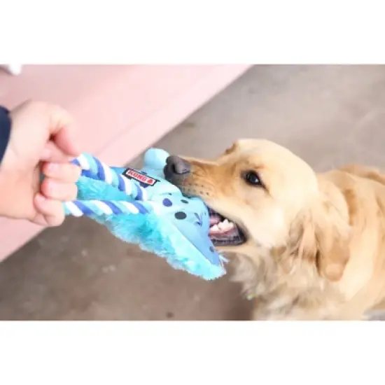 KONG Cozie Tuggz Frog Dog Toy - S/M image {2}