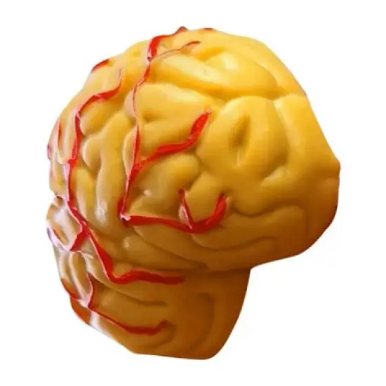 The Purple Cow The Human Body Advent Calendar: Educational Paper & Cardboard Winter Display image {8}