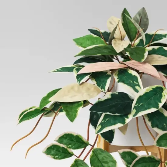 13" Trailing Plant in Wood Planter - Threshold&trade; image {2}