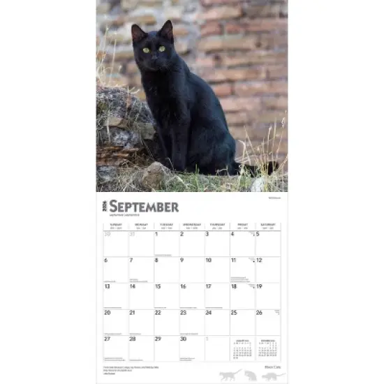 BrownTrout Black Cats 2026 12"x24" Hanging Square Wall Calendar Plastic-Free image {3}