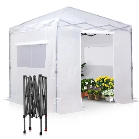 EAGLE PEAK 8'x8' Instant Pop-up Greenhouse, Roll-Up Zipper Doors and Side Windows image {8}