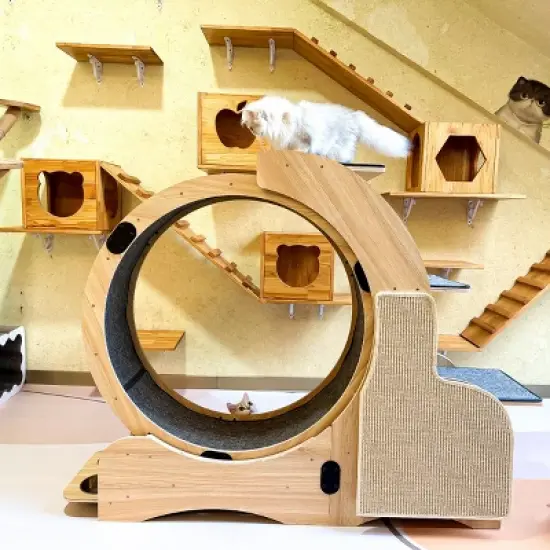 Cat Running Wheel For Large Cat Up To 44Lbs,  Cat Exercise Wheel With Silent Wheel-Cuddlewood image {7}