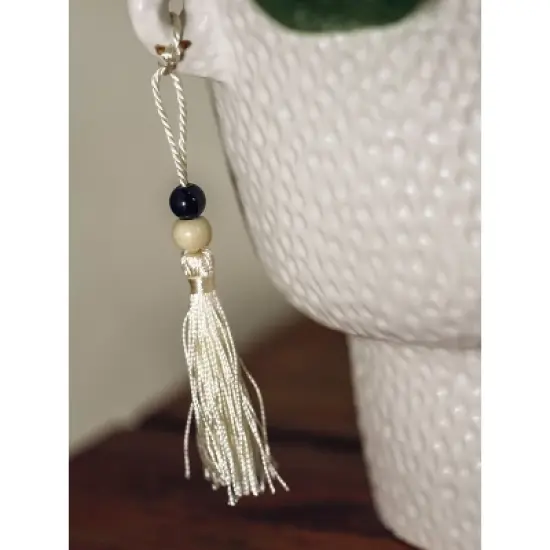 LiveTrends Salt Flats Live Houseplant image {2}