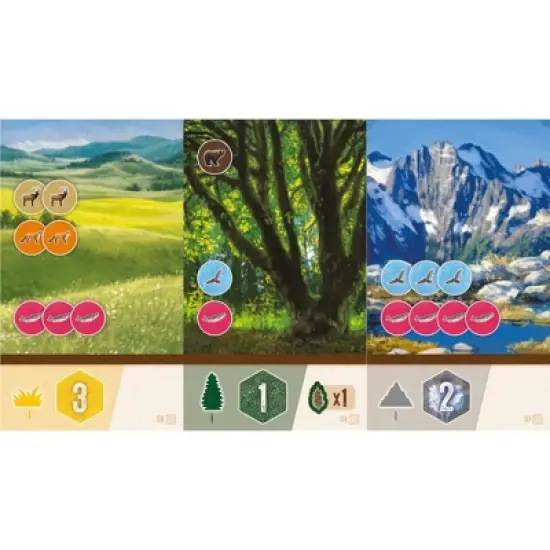 AEG: Cascadia: Rolling Rivers - Puzzly Flip-Roll-Write Board Game, Ages 10+ image {6}