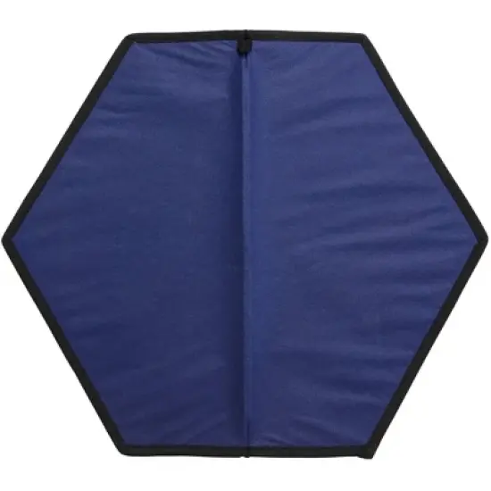 Triumph Sports Patriotic Disc Flyerz image {6}