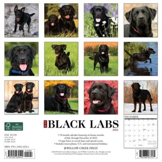 Willow Creek Press 2024 Wall Calendar 12"x12" Just Black Lab image {1}