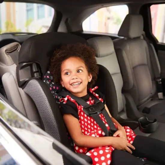 Disney Baby Finale 2-in-1 Booster Car Seat image {6}