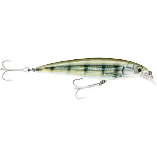 Rapala 3 1/8" X-Rap 8 Saltwater Fishing Lure image {5}