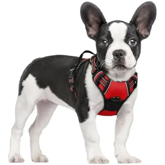 rabbitgoo Dog Harness No Pull image {9}