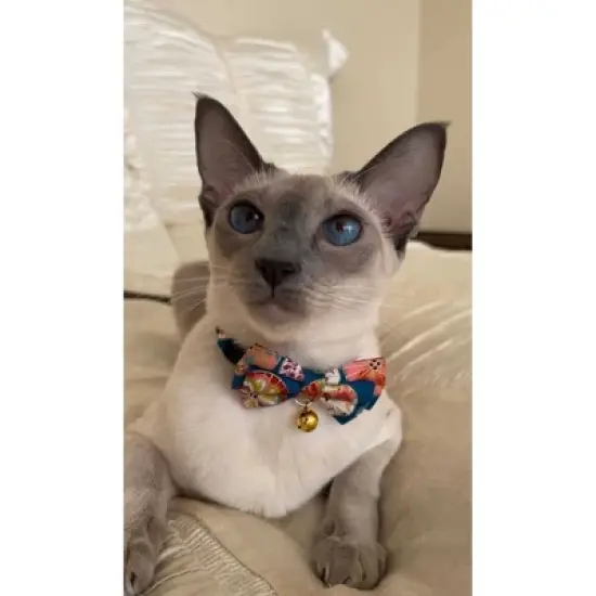 Necoichi Temari Bow Tie Cat Collar image {7}