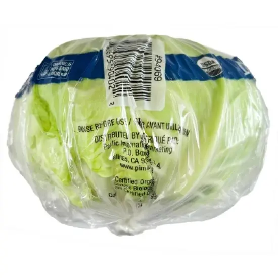 Fresh Organic Green Cabbage - each image {2}