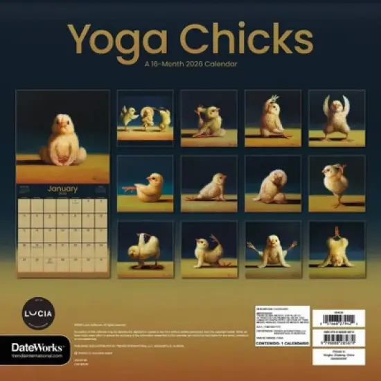 Trends International 2026 Lucia Heffernan Yoga Chicks 12"x12" Wall Calendar image {3}