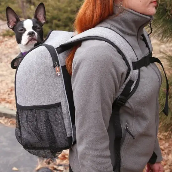 K&H Pet Products Travel Bike Backpack for Pets Gray 9.5 X 14 X 15.75 Inches image {5}