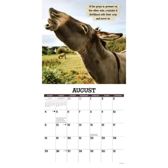 Willow Creek Press 2024 Wall Calendar 12"x12" Sassy Jackassy image {2}