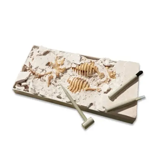 MindWare Dig It Up! Tyrannosaurus Rex 3D Skeleton image {1}