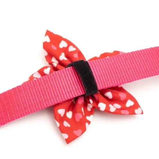 The Worthy Dog Flag Adjustable Bow Tie Accessory image {1}