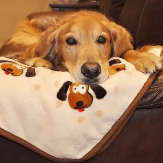 Snuggle Puppy Comfortable Beginnings New Puppy Starter Kit - Neutral - 4ct image {3}