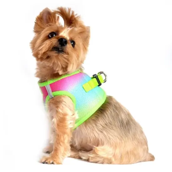 Doggie Design American River Choke Free Dog Harness Ombre Collection-Rainbow image {2}