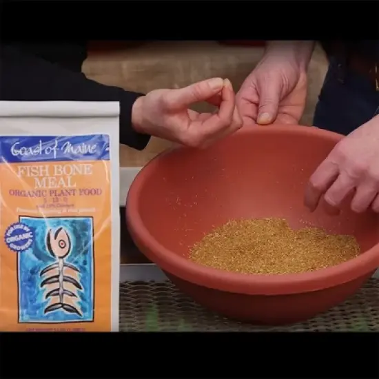 Coast of Maine OMRI Listed Fish Bone Meal Pack Organic Compost Potting Soil Blend for Container Gardens and Flower Pots, 3 Pound Bag image {3}