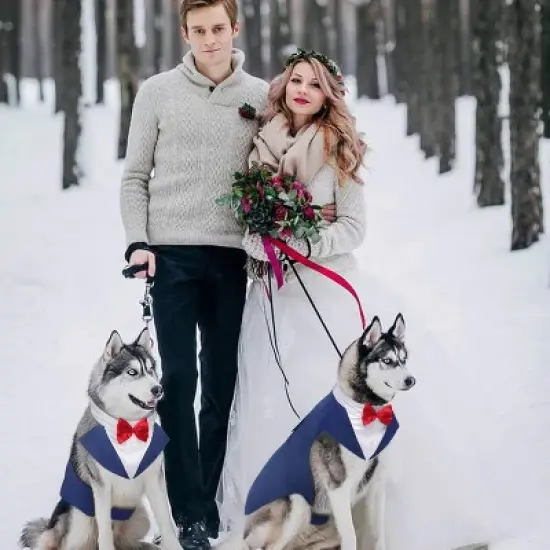 Kuoser Dog Tuxedo Dog Suit and Bandana Set, Dogs Tuxedo Wedding Party Suit, Dog Prince Wedding Bow Tie Shirt Formal Dog Wedding Attire, Blue - Small image {5}