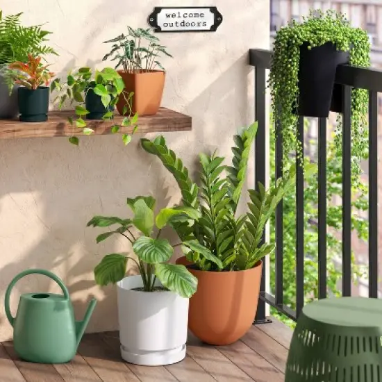 1gal Plastic Watering Can Versatile Green - Room Essentials&trade; image {1}
