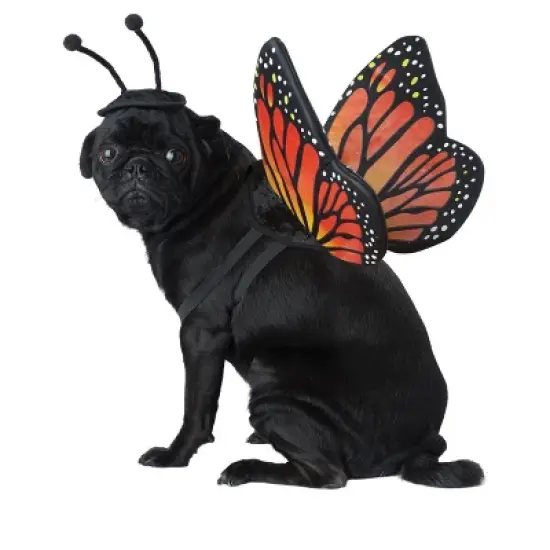 California Costumes Monarch Butterfly Pet Costume, X-Small image {1}