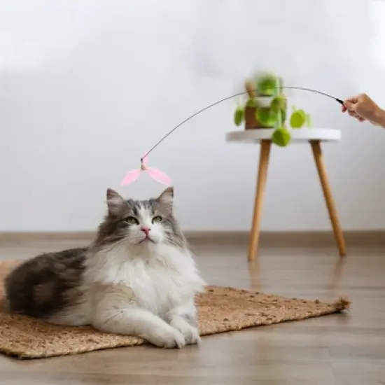 Unique Bargains Cat Teaser Windmill Style Handheld with Bell Pink image {3}