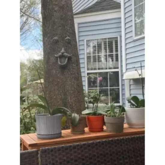 Fun Express Birdfeeder Tree Face Glow in the Dark Home Decor - 3 Pieces image {5}