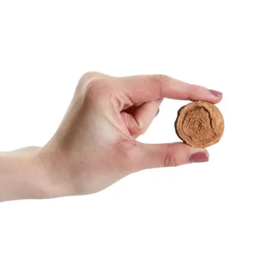 Okuna Outpost 20 Pack Real Bone Replicas from Morocco, Trilobite, Orthoceras, Shark Tooth, Ammonite image {3}