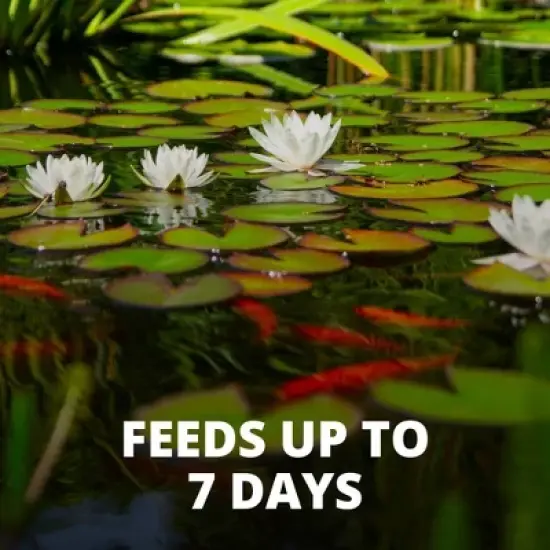 Tetra Slow Release Feeder Block for Pond Fish Fish Flavor Dry Fish Food - 3.45oz image {4}