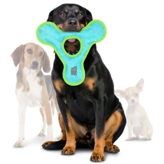 DuraForce Triangle Ring Dog Toy - Blue/Green image {1}