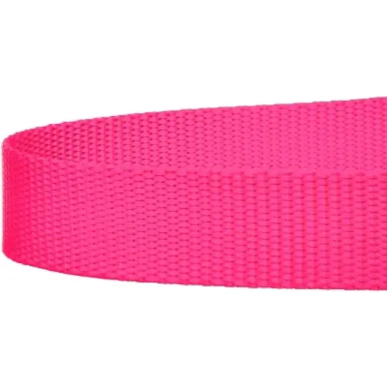 Country Brook Petz - Nylon Dog Leash (3/8 Inch Wide) image {5}