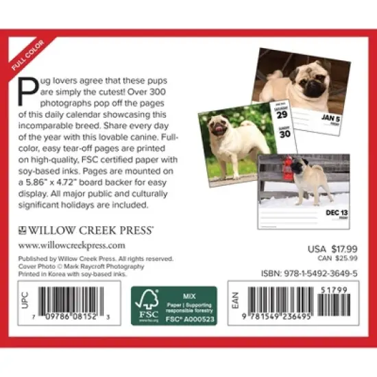 Willow Creek Press 2024 Daily Desk Calendar 5.2"x6.2" Pugs image {1}