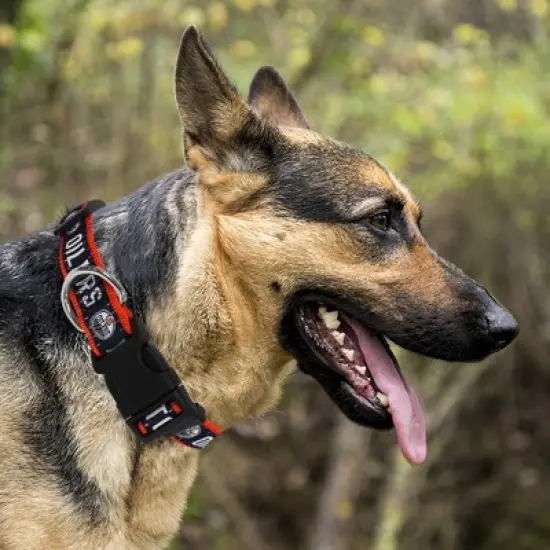NHL Edmonton Oilers Collar - S image {3}