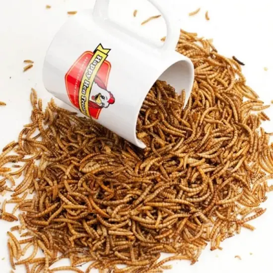 Happy Hen Treats Mealworm Frenzy Chicken Treats 10 oz image {2}