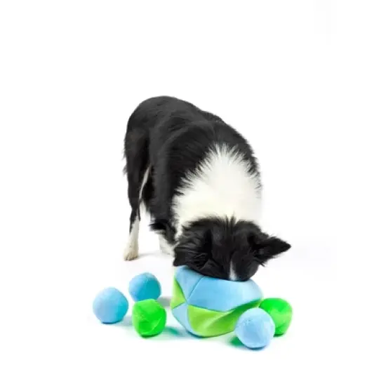 Midlee Hide a Ball Dog Toy - Blue/Green image {5}
