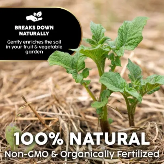 Firewood Central Mini Straw Bale by Morning View Acres &ndash; Natural Wheat Straw for Gardening, Pet Bedding, Seeding & Decor (12"x4"x6", 2lb) image {3}