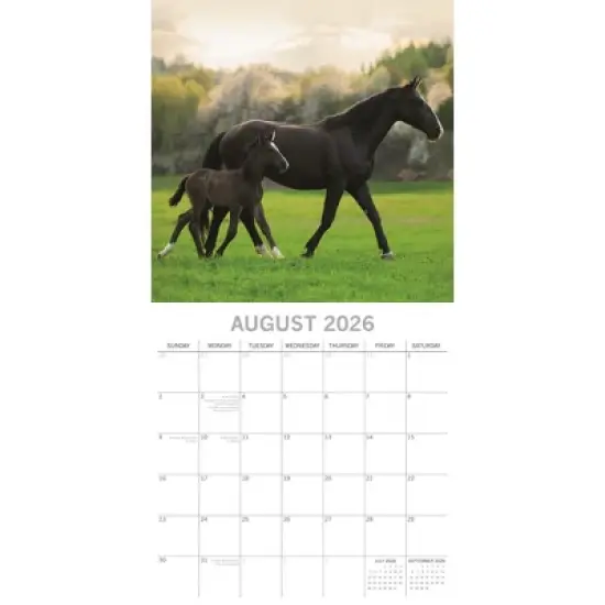 2026 Square Wall Calendar, Baby Animals, 16-Month Animal Theme, 180 Reminder Stickers (12x12 In) image {2}