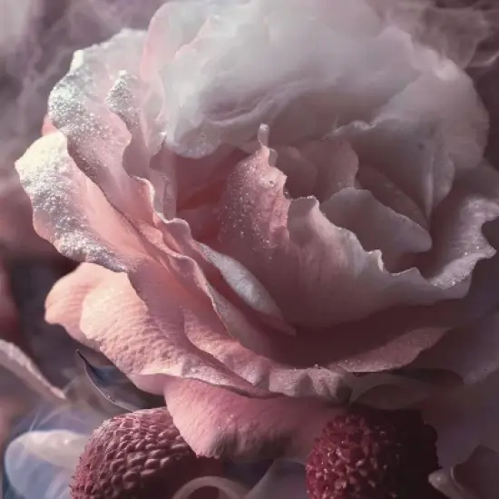 fine'ry. Women's Eau de Parfum Perfume - Rosa Lina - 2 fl oz image {5}