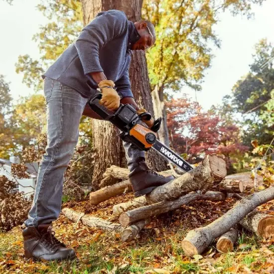 Worx WG384 40V Power Share 14" Cordless Chainsaw with Auto-Tension image {1}