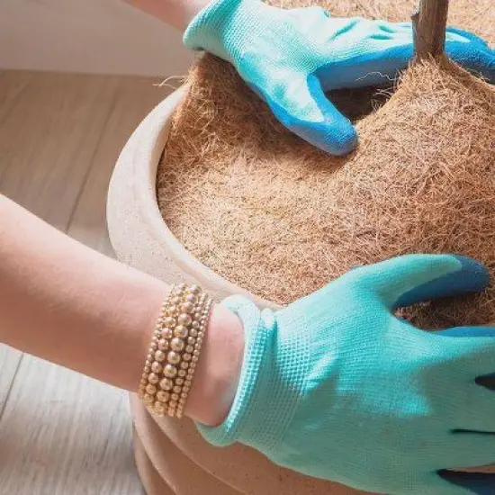 Envelor 10pk 14" Coco Coir Plant Cover Mulch Mat image {2}