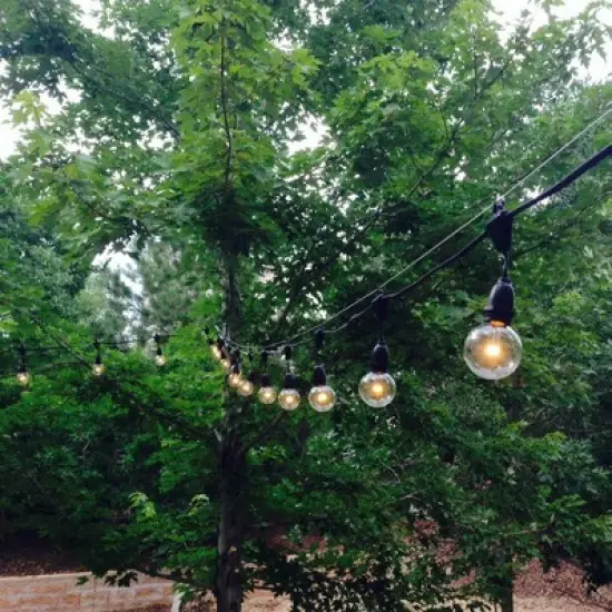Novelty Lights Globe Outdoor String Lights with 100 suspended Sockets Suspended Black Wire 100 Feet image {4}