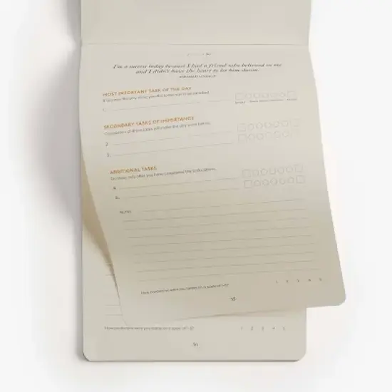 Undated Planner The Productivity Sheets - Intelligent Change image {2}